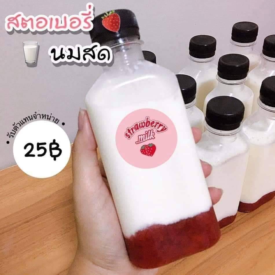 น้ำผลไม้ คุณเปิ้ล จำหน่าย น้ำส้มคั้น ลูกตาลนมสด มะพร้าวนมสด  นมสดผสมเม็ดแมงลัก สตรอเบอร์รี่นมสด ชาไทย ชาเขียว โกโก้ กาแฟ รูปที่ 3