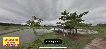 ขาย ที่ดิน แปลงสวยต.ชมพู อ.เมืองลำปาง จ.ลำปาง 13 ไร่ 2 งาน พร้อมโอนจบ รูปที่ 3