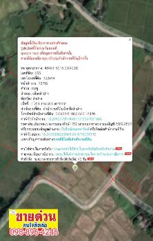 ขาย ที่ดิน แปลงสวยต.ชมพู อ.เมืองลำปาง จ.ลำปาง 13 ไร่ 2 งาน พร้อมโอนจบ รูปที่ 5
