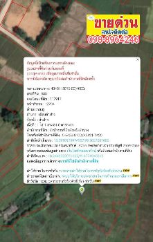 ขาย ที่ดิน แปลงสวยต.ชมพู อ.เมืองลำปาง จ.ลำปาง 13 ไร่ 2 งาน พร้อมโอนจบ รูปที่ 6