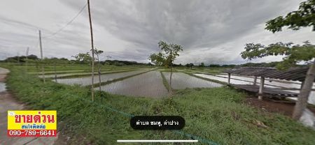 ขาย ที่ดิน แปลงสวยต.ชมพู อ.เมืองลำปาง จ.ลำปาง 13 ไร่ 2 งาน พร้อมโอนจบ รูปที่ 4