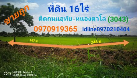 ขาย ที่ดิน ติดถนนอุทัย-หนองตาโล่ 16 ไร่ อ.อุทัย จ.พระนครศรีอยุธยา รูปที่ 3