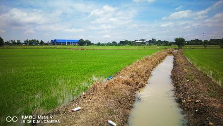 ขาย ที่ดิน ติดถนนอุทัย-หนองตาโล่ 16 ไร่ อ.อุทัย จ.พระนครศรีอยุธยา รูปที่ 6