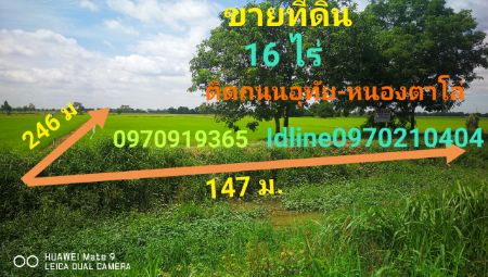 ขาย ที่ดิน ติดถนนอุทัย-หนองตาโล่ 16 ไร่ อ.อุทัย จ.พระนครศรีอยุธยา รูปที่ 2