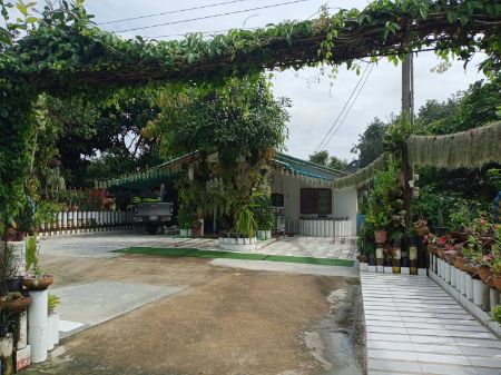 ขาย ที่ดิน พร้อมบ้านนิคมพัฒนาระยอง 1 ไร่ พร้อมมีผลไม้หลายชนิด รูปที่ 3