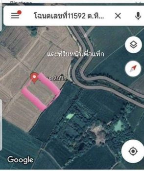 ขาย ที่ดิน ราคาถูกบ้านหมี่ ลพบุรี 16 ไร่ 0 ตร.วา ดินอุดมสมบูรณ์ รูปที่ 4
