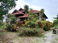 ขาย บ้านเดี่ยว บ้านสวนทรงไทยพร้อมลำไย200ต้นบ้านทรงไทยพร้อมสวนลำไย 300 ตรม. 5 ไร่ 1 งาน 84 ตร.วา ร่มรื่นเป็นส่วนตัว