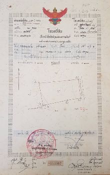 ขาย ที่ดิน โฉนด 2 แปลงติดกันจ.ลำพูน 3 ไร่ 2 งาน 62 ตร.วา มีต้นลำไยพร้อมเก็บผลผลิต. รูปที่ 6