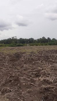 ขาย ที่ดิน แบ่งล๊อคๆละ200ตรว.อ.หนองม่วง จ.ลพบุรี 200 ตร.วา วิวภูเขา รูปที่ 3