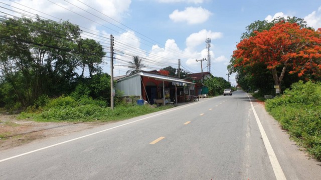 ที่ดินเปล่า เนื้อที่ 200 ตรว. ต.ท่าไข่ จ.ฉะเชิงเทรา กว้าง 16 x 52 ตรม. รูปที่ 1