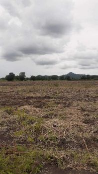 ขาย ที่ดิน แบ่งล๊อคๆละ200ตรว.อ.หนองม่วง จ.ลพบุรี 200 ตร.วา วิวภูเขา รูปที่ 5