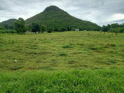 ขายที่ดินติดแม่น้ำแควใหญ่ กาญจนบุรี  27 ไร่ บรรยากาศดีมาก วิวภูเขา  เหมาะ ทำรีสอร์ท หรือซื้อเก็บไว้ รูปที่ 1