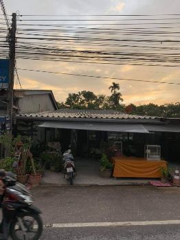 ขาย ที่ดิน ติดถนนใหญ่เชิงทะเล บ้านดอน 1 งาน 19.7 ตร.วา ทำเลทองเศรษฐกิจ. รูปที่ 3