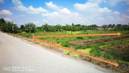 ขาย ที่ดิน ติดถนนคอนกรีต 6เมตร 1 ไร่ 29 ตร.วา บางหลวง เมืองปทุมธานี รูปที่ 4