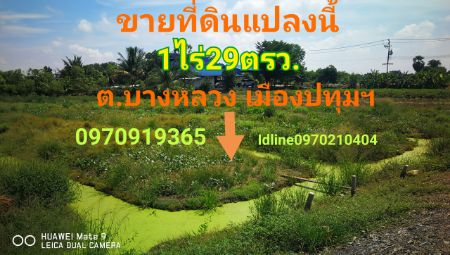 ขาย ที่ดิน ติดถนนคอนกรีต 6เมตร 1 ไร่ 29 ตร.วา บางหลวง เมืองปทุมธานี รูปที่ 2