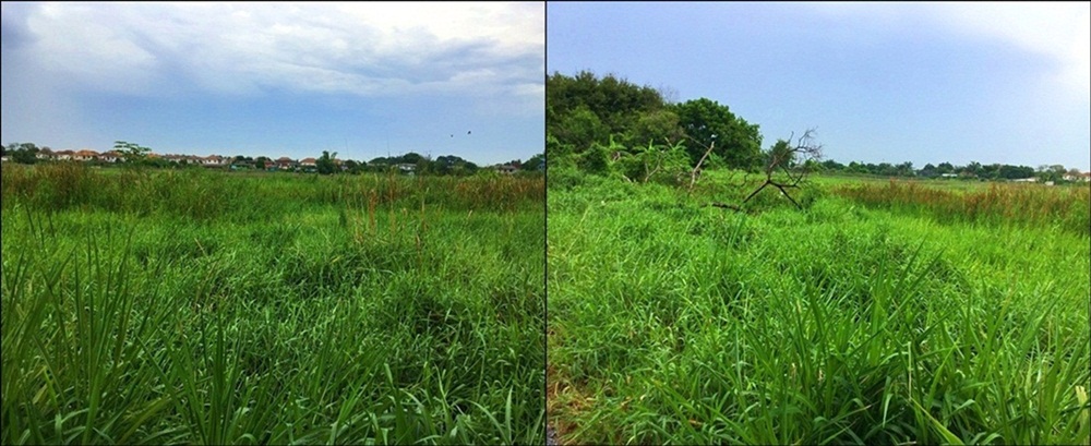 ขายที่ดิน 1 ไร่ ติดถนนเลียบด่วนมอเตอร์เวย์ สุขาภิบาล 3 รูปที่ 4