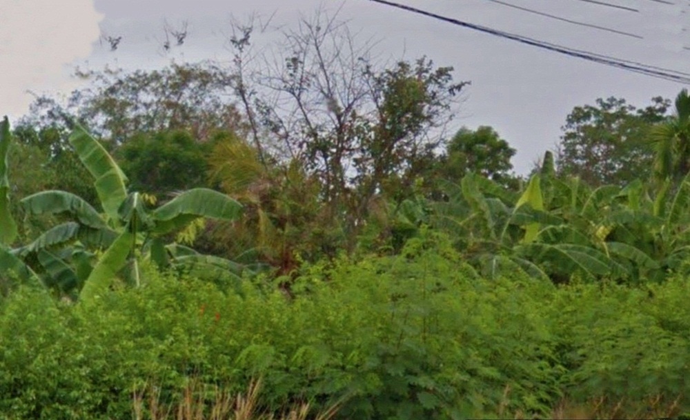 ขายที่ดินพร้อมบ้าน 3 ไร่ คลอง 16 อ.บางน้ำเปรี้ยว จ. ฉะเชิงเทรา รูปที่ 3