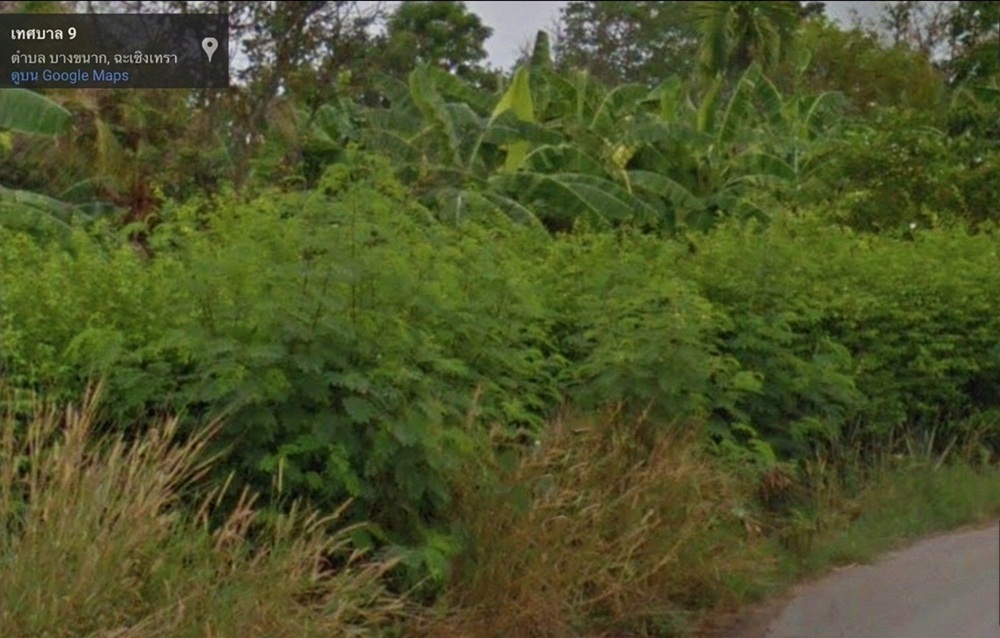 ขายที่ดินพร้อมบ้าน 3 ไร่ คลอง 16 อ.บางน้ำเปรี้ยว จ. ฉะเชิงเทรา รูปที่ 4