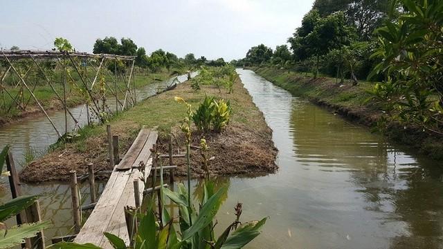 ขายที่ดินพร้อมสวนไม้ผล 9 ไร่ 1 งาน 69 ตร.วา ติดคลองสำโรง ถ.บางนา-ตราด กม.36 รูปที่ 1