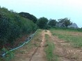 ขายที่ดิน ท่าม่วง กาญจนบุรี  1 ไร่ ใกล้แหล่งชุมชน เหมาะสร้างบ้าน ทำการเกษตรเล็กๆ หรือซื้อเก็บไว้