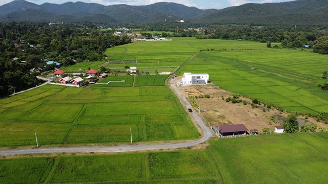 ที่ดินในฝันวิวดอย360องศา บรรยากาศดีที่สุดในย่านนี้ วิวทุ่งนาเขียวชะอุ่ม รูปที่ 1