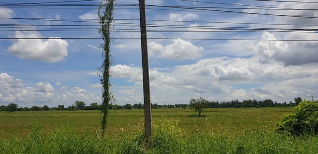 ที่ดินวิหารแดงติดถนนลาดยางเส้น3045 อ.วิหารแดง จ.สระบุรี รูปที่ 1