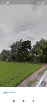 ขาย ที่ดิน เกษตรพอเพียงขายที่ดินเปล่า 17 ไร่ 2 งาน 44 ตร.วา เจ้าของรีบขาย รูปที่ 3