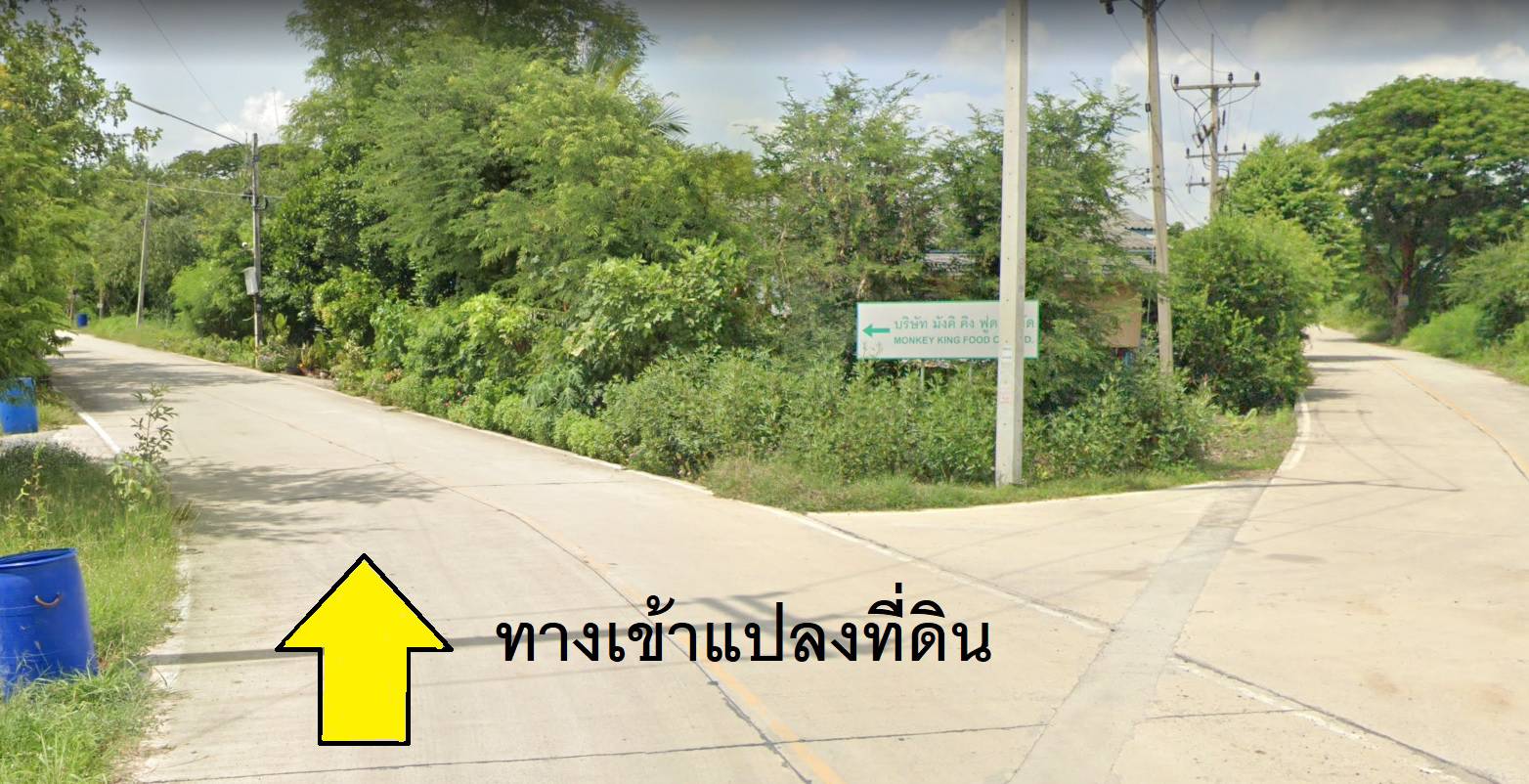 ขาย ที่ดิน ขนาด 3 ไร่ 76 ตร.ว. ต.เชียงรากใหญ่ อ.สามโคก จ.ปทุมธานี รูปที่ 1