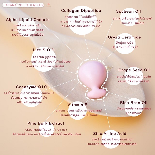 Rosegold คอลลาเจน SAKANA COLLAGEN X10 รูปที่ 2