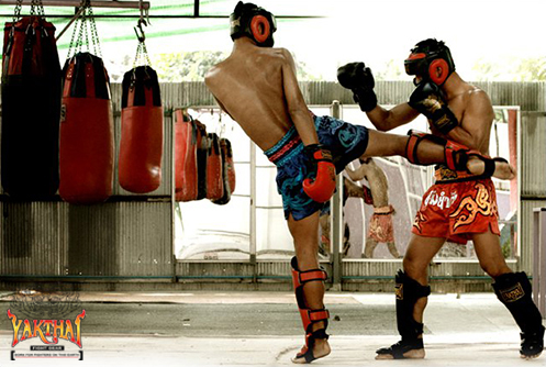 ร้านนักสู้ไทย Naksu Thai เสื้อผ้า อุปกรณ์ มวยไทย MMA ฟิตเนส ดาบไทย เวทีมวย รูปที่ 1