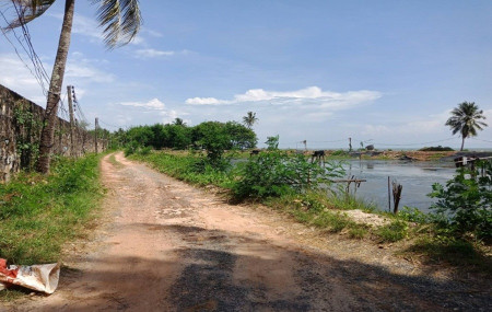 ขาย ที่ดิน ราคาเบา ที่ดินสวย ติดทะเล อำเภอ คลองใหญ่ จ.ตราด 10 ไร่ วิวดี ใกล้ท่าเรือ รูปที่ 3