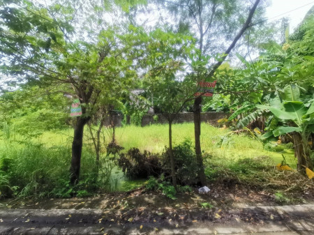 ขาย ที่ดิน ถูก เป็นสีเหลี่ยมสวย ที่ดิน 64 ตร.วา ผังเมืองสีเหลือง ย.3-25 รูปที่ 2