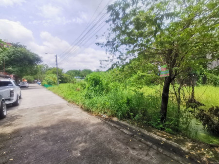 ขาย ที่ดิน ถูก เป็นสีเหลี่ยมสวย ที่ดิน 64 ตร.วา ผังเมืองสีเหลือง ย.3-25 รูปที่ 6