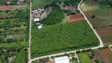 ขาย ที่ดิน ขายถูกกว่าแปลงอื่น ที่ดิน ปากช่อง โคราช 17 ไร่ 2 งาน มีไม้สักทอง 3000 ต้น รูปที่ 1