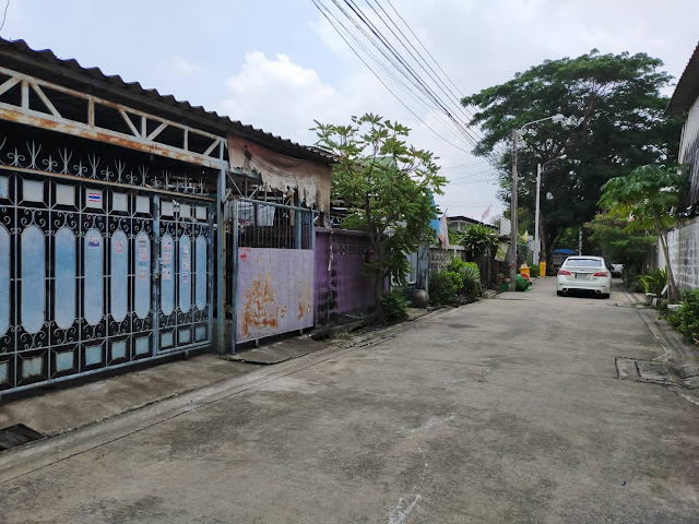 ขายที่ดินแถมบ้าน 41 ตรว. รูปที่ 6