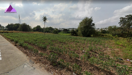 ขาย ที่ดิน ทำเลกลางเมือง ศรีราชา ชลบุรี 1 ไร่ ขนาด 1 ไร่ ติดJ Cityศรีราชา ใกล้โรงเรียนอัสสัมชัญ ศรีราชา รูปที่ 5