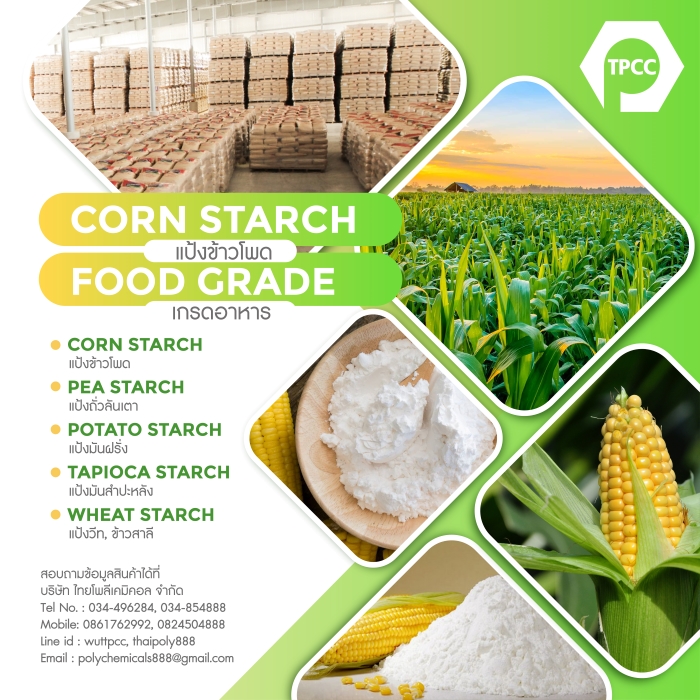 แป้งข้าวโพด, Corn Starch, คอร์นสตาร์ช, สตาร์ชข้าวโพด, Native Starch, Modified Starch รูปที่ 1