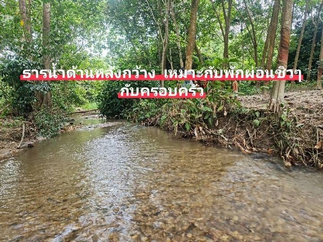 ที่ดินติดลำธาร วิวภูเขา ใกล้แหล่ง EEC เขตบ้านค่าย ระยอง รูปที่ 1