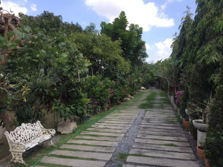 ขาย บ้านเดี่ยว ริมน้ำ 2 ด้าน ร่มรื่น ลำลูกกา ขนาด 4 ไร่ 2 งาน 32 ตรว. พื้นที่ 1644 ตรม. ออกแบบโดยสถาปนิก ยกสูงแบบปลวกไม่สามารถกินได้ รูปที่ 4