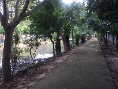 ขาย บ้านเดี่ยว ริมน้ำ 2 ด้าน ร่มรื่น ลำลูกกา ขนาด 4 ไร่ 2 งาน 32 ตรว. พื้นที่ 1644 ตรม. ออกแบบโดยสถาปนิก ยกสูงแบบปลวกไม่สามารถกินได้ รูปที่ 3