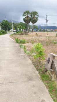 ขาย ที่ดิน รหัส90146ถนนบ้านดอนเชิงทะเล ถลาง ภูเก็ต 3 ไร่ 3 งาน 62.2 ตร.วา ใกล้สนามกอล์ฟภูเก็ตเซ็นเตอร์ รูปที่ 5