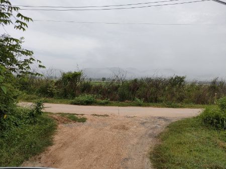 ขาย ที่ดิน แปลงเล็กต.กุดนกเปล้า อ.เมืองสระบุรี 2 งาน ห่างจากบายพาสฝั่งตะวันออก400เมตร รูปที่ 6