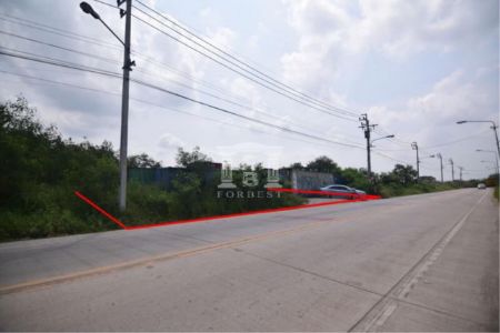 ขาย ที่ดิน รหัส40204ติดมอเตอร์เวย์ สุวรรณภูมิ 2 ไร่ 4 งาน 41.2 ตร.วา ถนนกว้าง 8 ม. รูปที่ 3