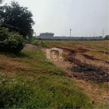 ขาย ที่ดิน รหัส90209ห่างแยกไทรน้อย 4 กม. นนทบุรี 6 ไร่ 1 งาน 53 ตร.วา หมาะสำหรับสร้างโกดัง โรงงาน รูปที่ 4