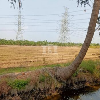 ขาย ที่ดิน รหัส90209ห่างแยกไทรน้อย 4 กม. นนทบุรี 6 ไร่ 1 งาน 53 ตร.วา หมาะสำหรับสร้างโกดัง โรงงาน รูปที่ 2