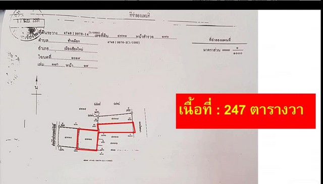 ขายตึกอาคารพาณิชย์ 3คูหา 3ชั้น 247ตรว. ตลาดโต้รุ่งช้างเผือก ถ.ช้างเผือก ต.ศรีภูมิ เมืองเชียงใหม่ รูปที่ 1