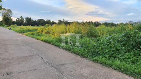 ขาย ที่ดิน รหัส90192 หน้ากว้าง 40.5 เมตรห้วยสัก เชียงราย 6 ไร่ ที่ดินถมแล้ว รูปที่ 2