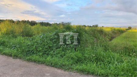 ขาย ที่ดิน รหัส90192 หน้ากว้าง 40.5 เมตรห้วยสัก เชียงราย 6 ไร่ ที่ดินถมแล้ว รูปที่ 5