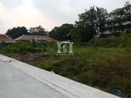 ขาย ที่ดิน รหัส 41153  พื้นที่สีเหลืองนวลจันทร์ 56 ติดคลองบางชวดด้วน  482 ตร.วา ถนนหน้าที่กว้าง 6 เมตร รูปที่ 4