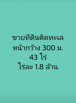 ขาย ที่ดินติดทะเล ผืนใหญ่ โฉนดเดียว 43 ไร่ หน้ากว้าง กว้างมาก 300 เมตร รูปที่ 1